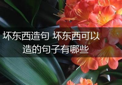 坏东西造句 坏东西可以造的句子有哪些