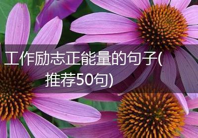 工作励志正能量的句子(推荐50句)