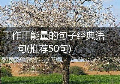 工作正能量的句子经典语句(推荐50句)