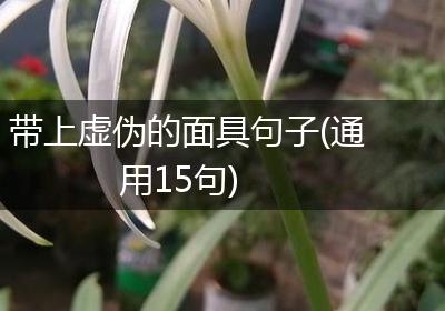 带上虚伪的面具句子(通用15句)