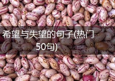 希望与失望的句子(热门50句)