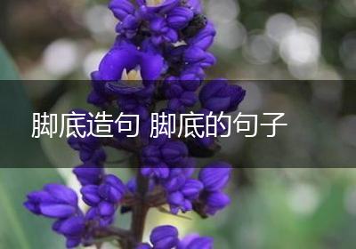 脚底造句 脚底的句子