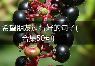 希望朋友过得好的句子(合集50句)