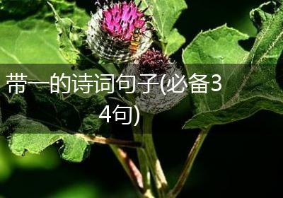 带一的诗词句子(必备34句)