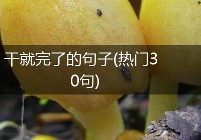 干就完了的句子(热门30句)