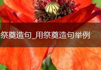 祭奠造句_用祭奠造句举例