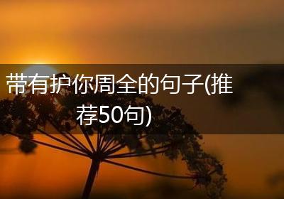带有护你周全的句子(推荐50句)
