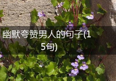 幽默夸赞男人的句子(15句)