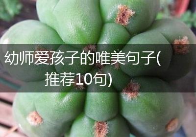 幼师爱孩子的唯美句子(推荐10句)