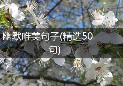 幽默唯美句子(精选50句)