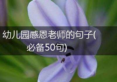 幼儿园感恩老师的句子(必备50句)