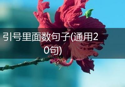 引号里面数句子(通用20句)