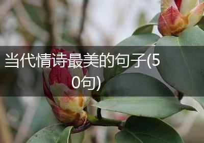 当代情诗最美的句子(50句)