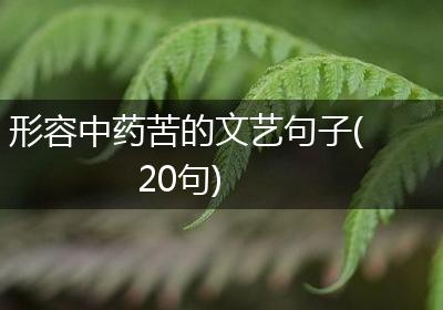 形容中药苦的文艺句子(20句)