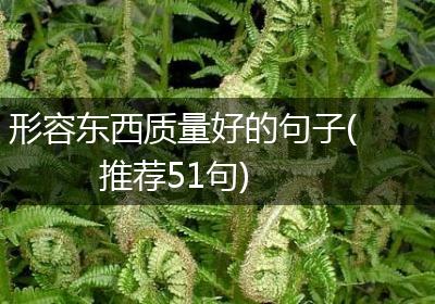 形容东西质量好的句子(推荐51句)