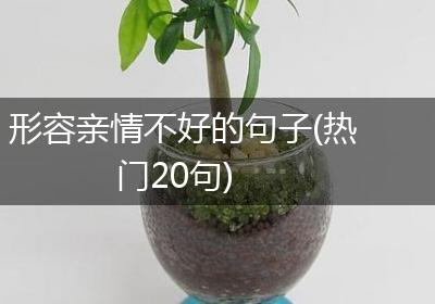 形容亲情不好的句子(热门20句)