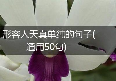 形容人天真单纯的句子(通用50句)
