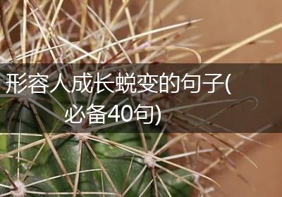 形容人成长蜕变的句子(必备40句)