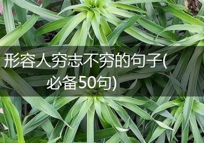 形容人穷志不穷的句子(必备50句)