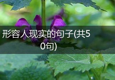 形容人现实的句子(共50句)