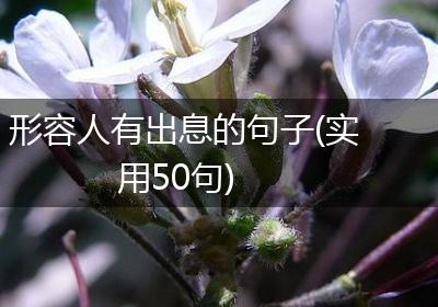 形容人有出息的句子(实用50句)