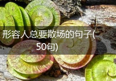 形容人总要散场的句子(50句)