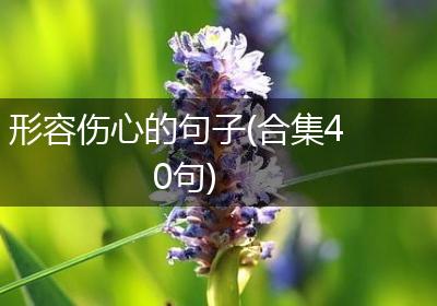 形容伤心的句子(合集40句)