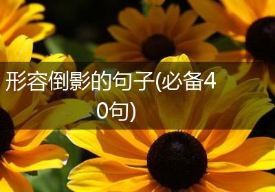 形容倒影的句子(必备40句)