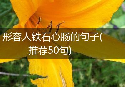 形容人铁石心肠的句子(推荐50句)