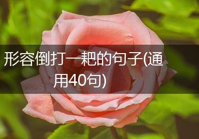 形容倒打一耙的句子(通用40句)