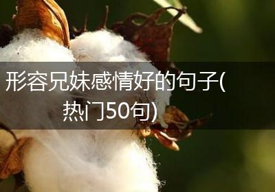 形容兄妹感情好的句子(热门50句)