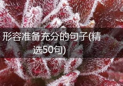 形容准备充分的句子(精选50句)
