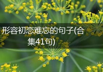 形容初恋难忘的句子(合集41句)