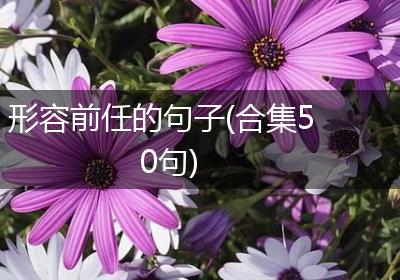 形容前任的句子(合集50句)