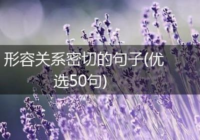 形容关系密切的句子(优选50句)
