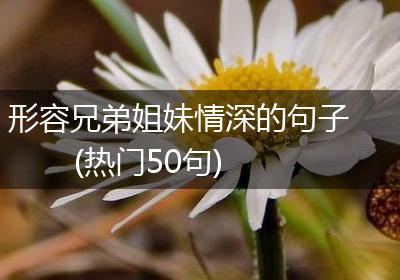形容兄弟姐妹情深的句子(热门50句)