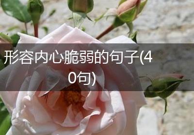形容内心脆弱的句子(40句)