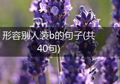形容别人装b的句子(共40句)