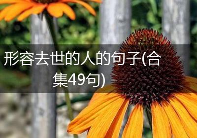 形容去世的人的句子(合集49句)