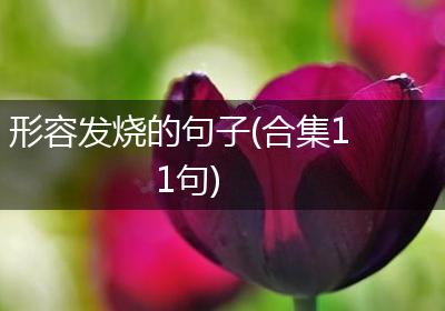 形容发烧的句子(合集11句)