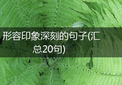 形容印象深刻的句子(汇总20句)