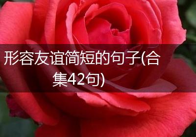 形容友谊简短的句子(合集42句)