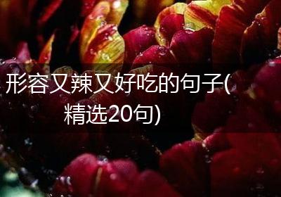 形容又辣又好吃的句子(精选20句)