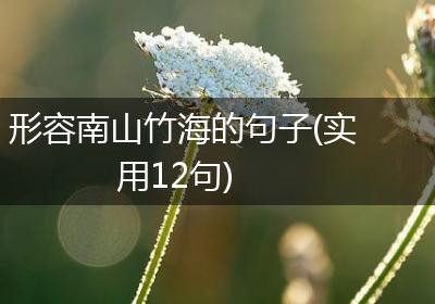 形容南山竹海的句子(实用12句)