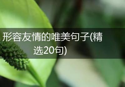 形容友情的唯美句子(精选20句)