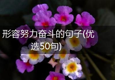 形容努力奋斗的句子(优选50句)