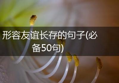 形容友谊长存的句子(必备50句)