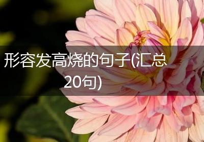 形容发高烧的句子(汇总20句)