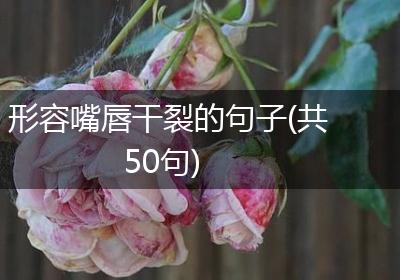 形容嘴唇干裂的句子(共50句)