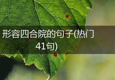 形容四合院的句子(热门41句)